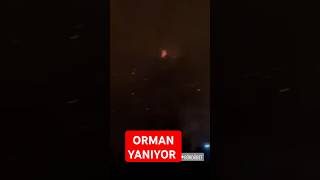 🎯Son Dakika Muğla Marmaris Bördübette Orman yangını çıktı [upl. by Akeinahs360]