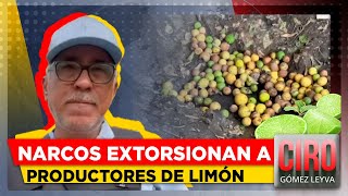 Alza en el precio del limón es por culpa del crimen organizado  Ciro Gómez Leyva [upl. by Melly]