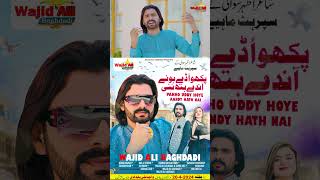 Pakho Uddy Hoye Andy Hath Nai Wajid Ali Baghdadi  New Song Promo  Trailer Deegar Vela  2024 [upl. by Eolanda]