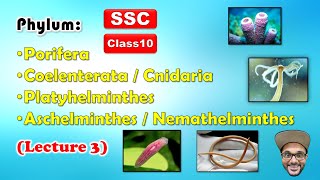 Animal Classification Lecture 3  Phylum 14  Class 10  SSC  Maharashtra state board [upl. by Oehsen]