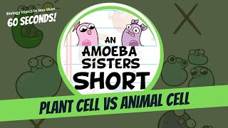 Plant vs Animal Cell  Amoeba Sisters Shorts [upl. by Iarahs]