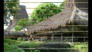 INDONESIA SUMBA ISLAND PICTURES [upl. by Racklin70]