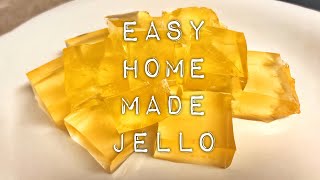 Homemade jello only 2 ingredients Kosher 👍🏻 [upl. by Krock]