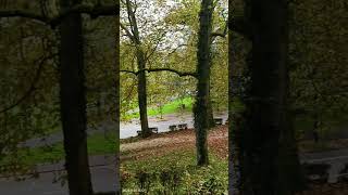 Осінь Charleville Mézières Ardenne France france life live nature [upl. by Dorelle]