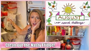 Clean out the Nasty Fridge  August No Spend  Save Money [upl. by Sualohcin]