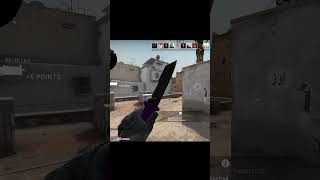 Csgo Ursus Knife animation [upl. by Anizor]