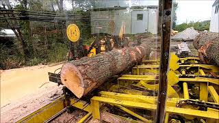 sawing pine 2quotx6quot s [upl. by Mckenna]