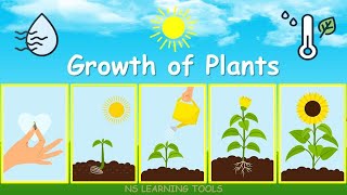 Seed Germination  Journey from Seed to Shoot  Experiment for kids [upl. by Javier]