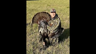 2024 Florida Osceola Turkey Hunting [upl. by Eidak890]