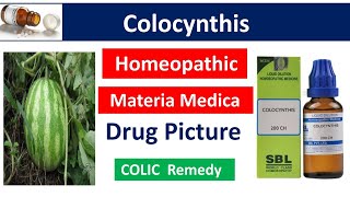 Colocynthis Homeopathic Medicine  Drug Picture  Materia Medica bhms materiamedica colocynthis [upl. by Notsniw222]