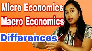 Different Between MICRO AND MACRO Economics  HINDI [upl. by Enyamrahs]