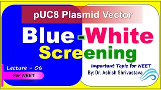 pUC Vector  Blue White Screening  How to Perform BlueWhite Screening  NEET [upl. by Jabin]