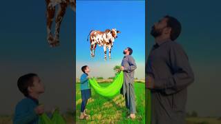 islamicvideo shortvideo [upl. by Brouwer]