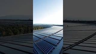 Customer Reviews  Solar Ongrid Systems  Tejas Solar Techs [upl. by Box]