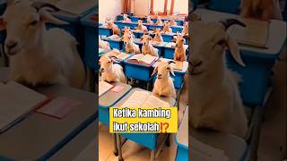 Ketika kambing ikutan sekolah⁉️zoo viralshorts [upl. by Adiazteb]