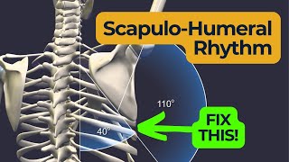 Scapulohumeral Rhythm  Fix Your Shoulders [upl. by Vod396]