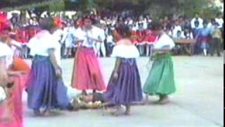 EL JABALI bailable en comitan chiapas [upl. by Keligot791]