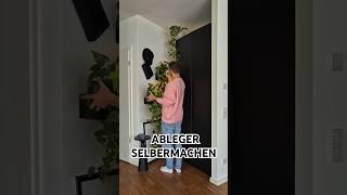 EfeututenAbleger einfach selbermachen plants propagation sustainable urbanjungle plantlover [upl. by Adorl]