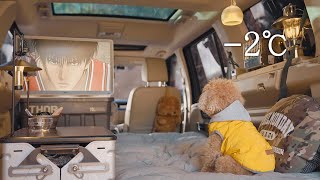 2℃ Small Tent Car Camping with My Dog  Korean Pork Bulgogi  Wood Stove ASMR [upl. by Sagerman]