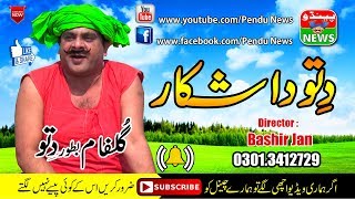 Funny  Dittu New Funny Video  Dittu Da Shikar  Pendu News [upl. by Zzaj]