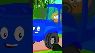 Five Little Oranges shorts nurseryrhymes mrbaby cartoonvideos learningvideos [upl. by Ahsakal]