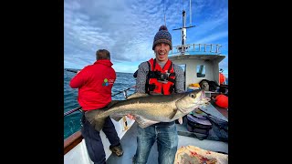 Mixed species lure fishing with Lo Kie Adventures from Penzance Cornwall Fishing Cornwall [upl. by Domenic]