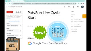 NEW PubSub Lite Qwik Start  qwiklabs  GSP832  With Explanation🗣️ [upl. by Yevre840]