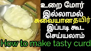 உறை மோர் இல்லாமல் தயிர் செய்வது எப்படி  How to make curd without curd tamil [upl. by Gunar792]