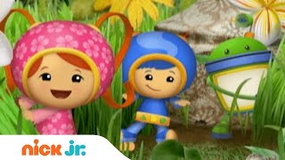 Team Umizoomi  Theme Song  Stay Home WithMe  Nick Jr [upl. by Atilrahc]