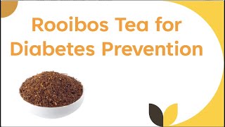 Rooibos Tea for Diabetes Prevention [upl. by Eirrak]