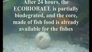 ECOBIOBALL video 1 the new ecological and biodegradable golf ball to play on marine environments [upl. by Nashoma]