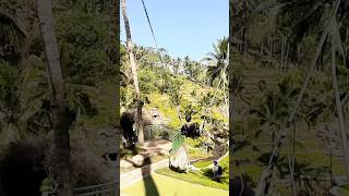 Swing bali [upl. by Garrek]