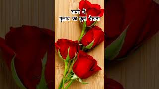 Sapne me gulab ka phool dekhna  Sapne me gulab ka phool todna  Sapne me gulab ka phool milna [upl. by Citron]