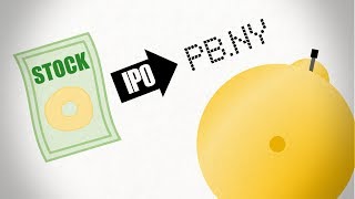 The IPO Process [upl. by Allicsirp724]