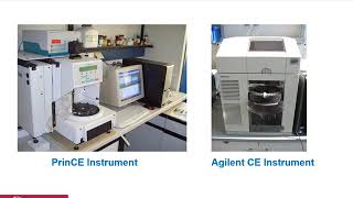 Kapillarelektrophorese Capillary Electrophoresis [upl. by Ltihcox]