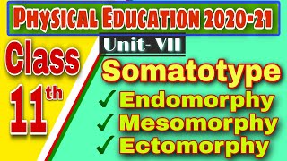 Somato Types  Endomorphy Mesomorphy and Ectomorphy  Physical Education Class 11 202021 [upl. by Hershell]