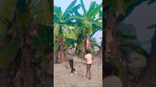 bhojpuri song love Ha newbhojpurisongmilanaasmanmehoi bhojpurisong music bhojpurimusic [upl. by Dustin]