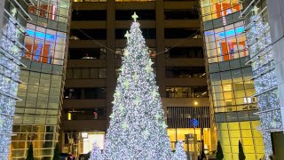 11 Of New Yorks Most Beautiful Christmas Trees [upl. by Otti446]