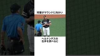 「不正投球を指摘された」ヘルナンデスについての雑学野球野球雑学福岡ソフトバンクホークス [upl. by Reffotsirhc]