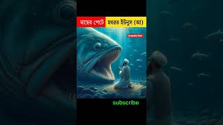 মাছের পেটে ইউনুস নবী। shortsvideo shortsfeed facts amazingfacts নূরেরজ্ঞান [upl. by Ybanrab]