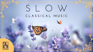 Slow Classical Music [upl. by Akerdal]