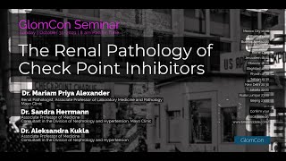 The Renal Pathology of Check Point Inhibitors [upl. by Sup]