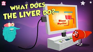 What Does The Liver Do  Liver Functions  The Dr Binocs Show  Peekaboo Kidz [upl. by Ashil68]