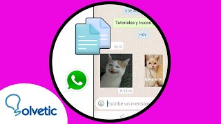 ✏️ Cómo COPIAR y PEGAR Stickers en WhatsApp [upl. by Sadirah]