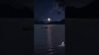 Oceans Moonlight Poem by GoGtheGrey fy fyp youtubeshorts youtube viralvideo [upl. by Friedrich]