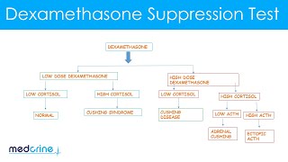 Dexamethasone Suppression Test How it is done and interpretation of the findings [upl. by Etnor155]