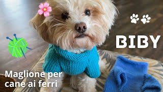 🌸 Maglione per cane ai ferri 🐶🐾🧶 Biby [upl. by Giulia]