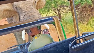 Elephant Picks up and Throws Truck full of Tourists [upl. by Atiuqcaj514]