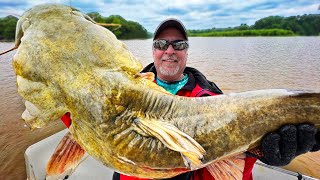 How to Catch Flathead Catfish During the Day [upl. by Atnaloj]