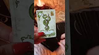 Lästern erniedrigt deine Energie 🫢🧘‍♀️⛔️ vikiversum tarot kartenlegung [upl. by Ax]